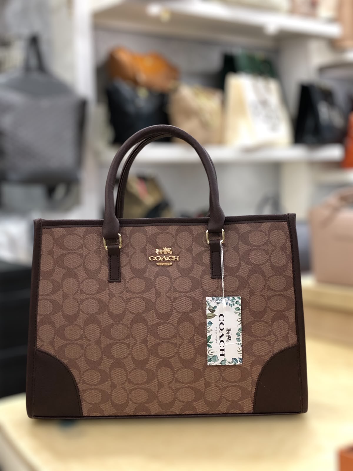 Coach Signature Print Tote Bag for Women – Premium Beige Everyday Carry Handbag