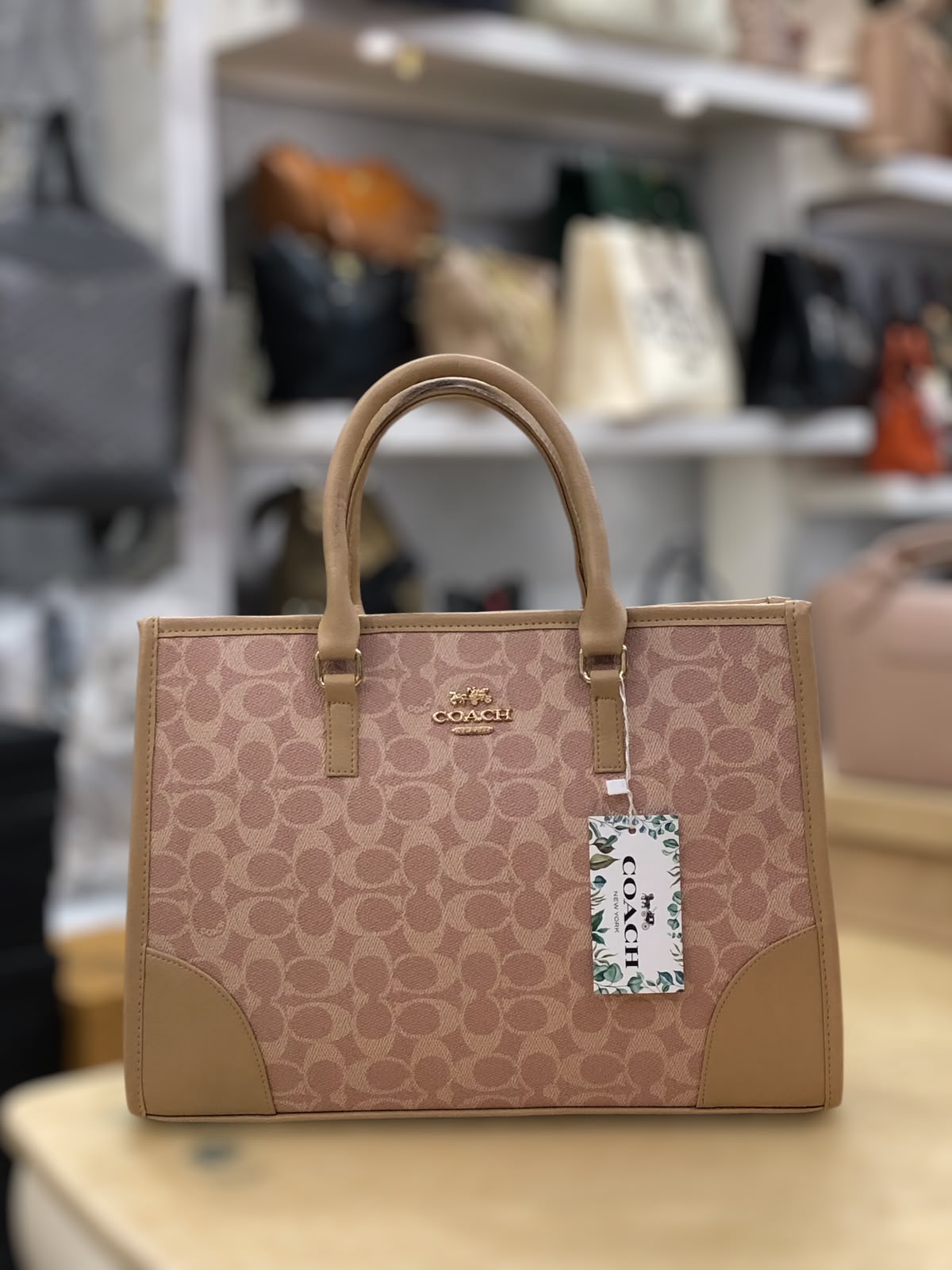 Coach Signature Print Tote Bag for Women – Premium Beige Everyday Carry Handbag